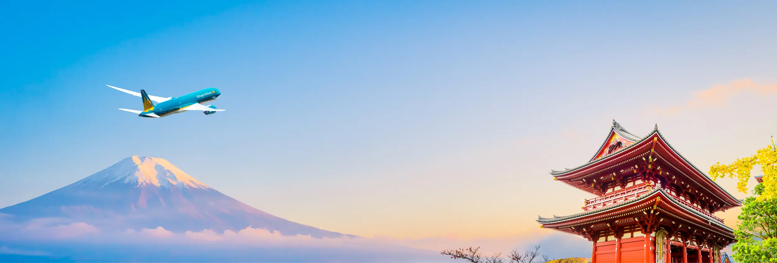 SmileTrip Background